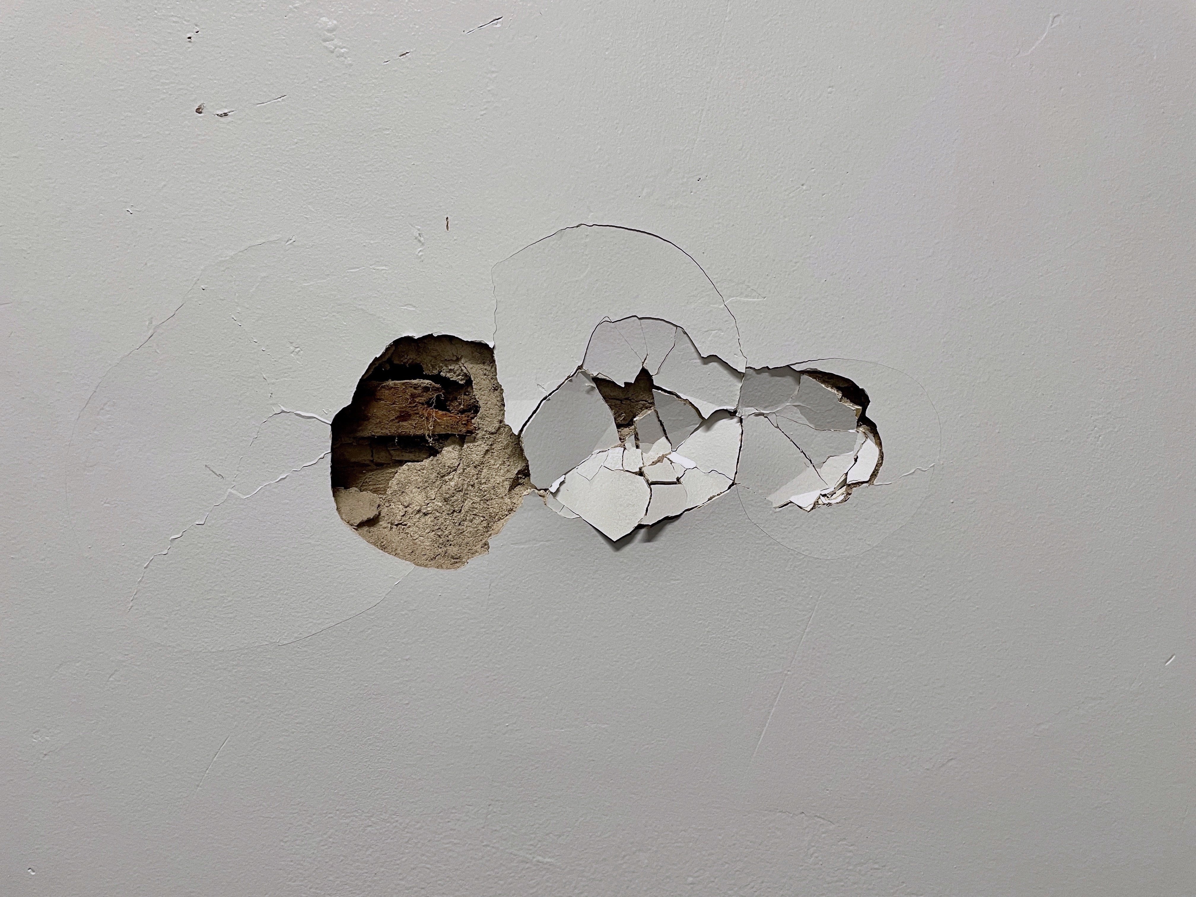D2